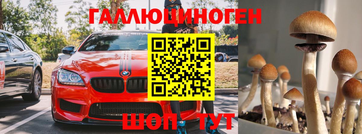 Псилоцибиновые грибы Magic Shrooms Стерлитамак