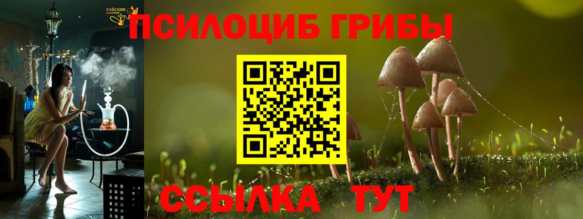 Галлюциногенные грибы MAGIC MUSHROOMS  Вход с VPN  Стерлитамак 